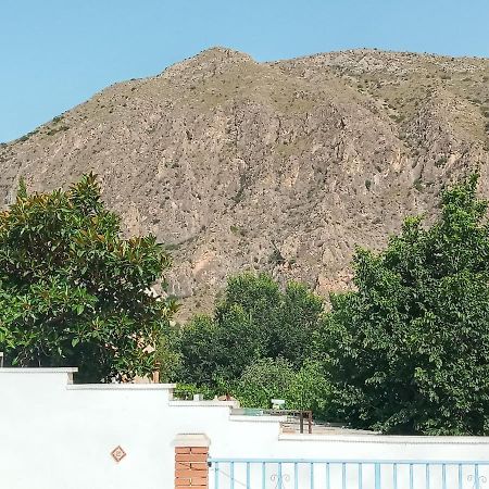 Recovery Mountain Homestay 阿利坎特 外观 照片