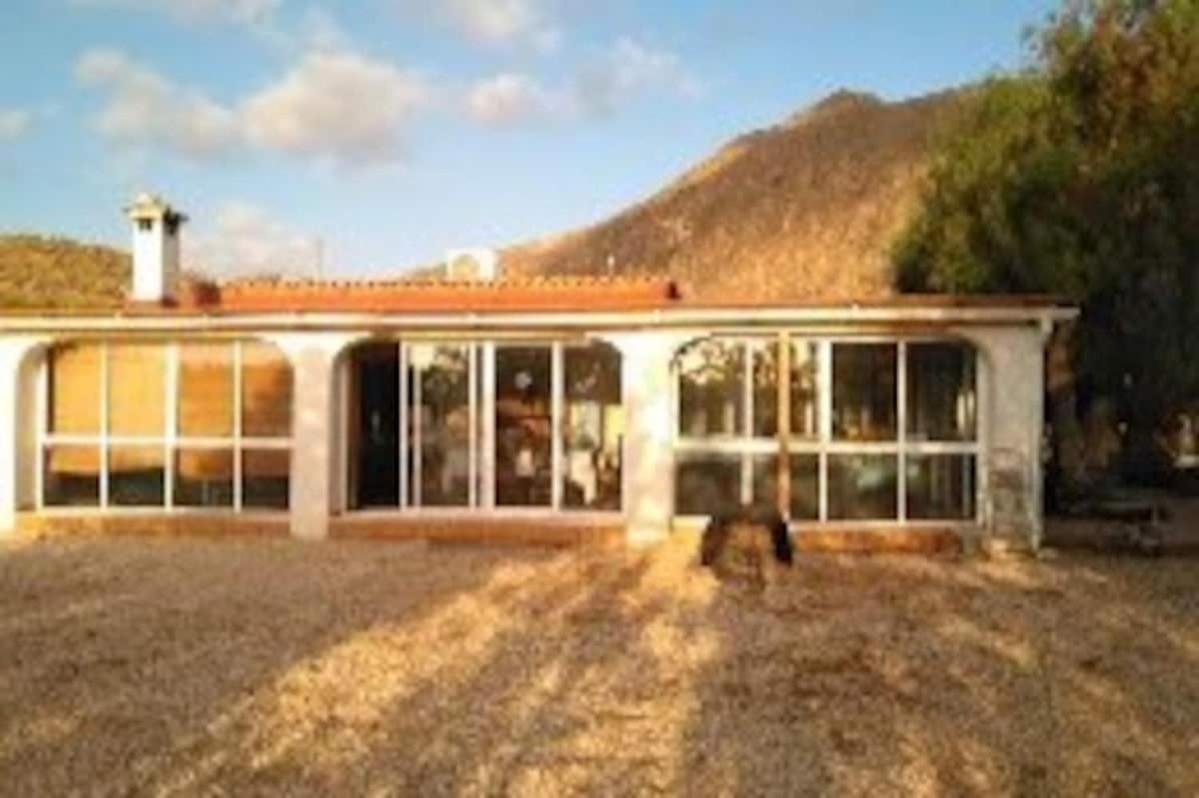Recovery Mountain Homestay 阿利坎特 外观 照片