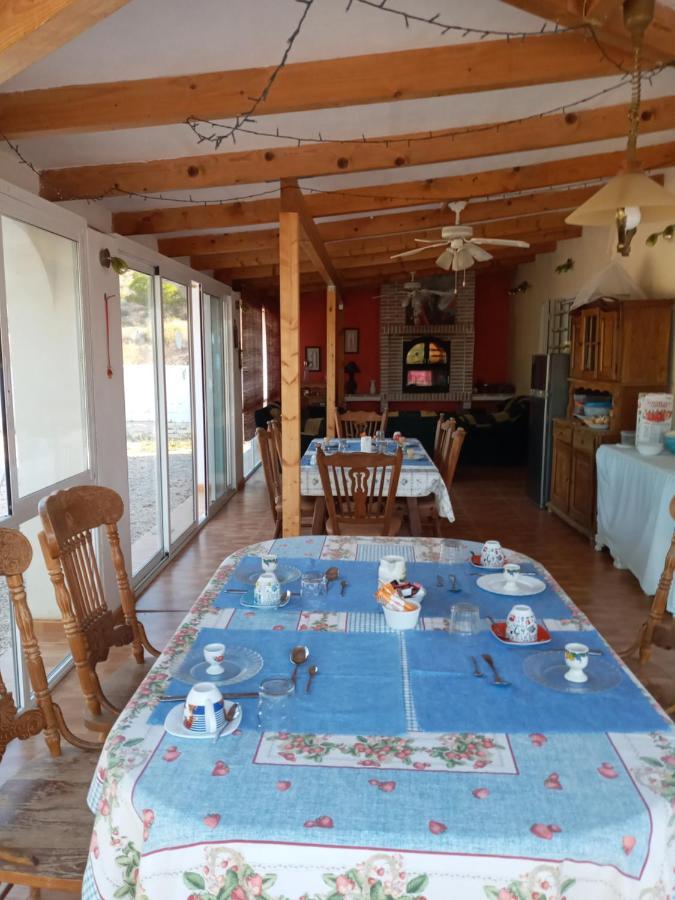 Recovery Mountain Homestay 阿利坎特 外观 照片